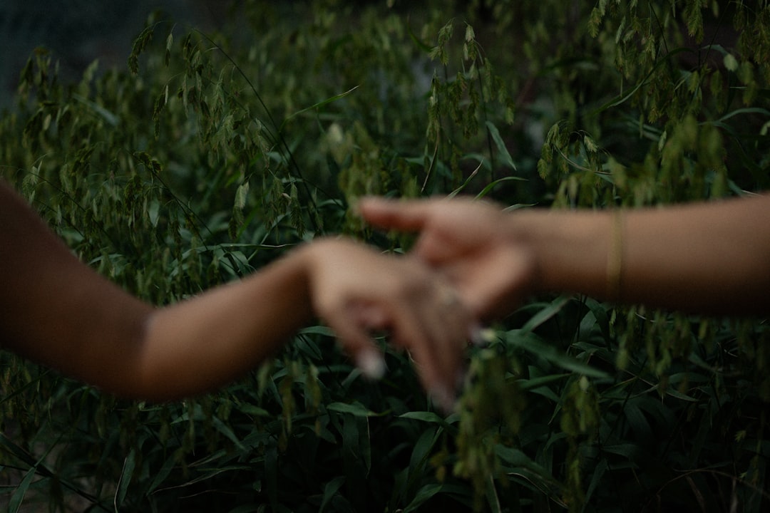 核心场景：AI配音到底能用在哪些地方？