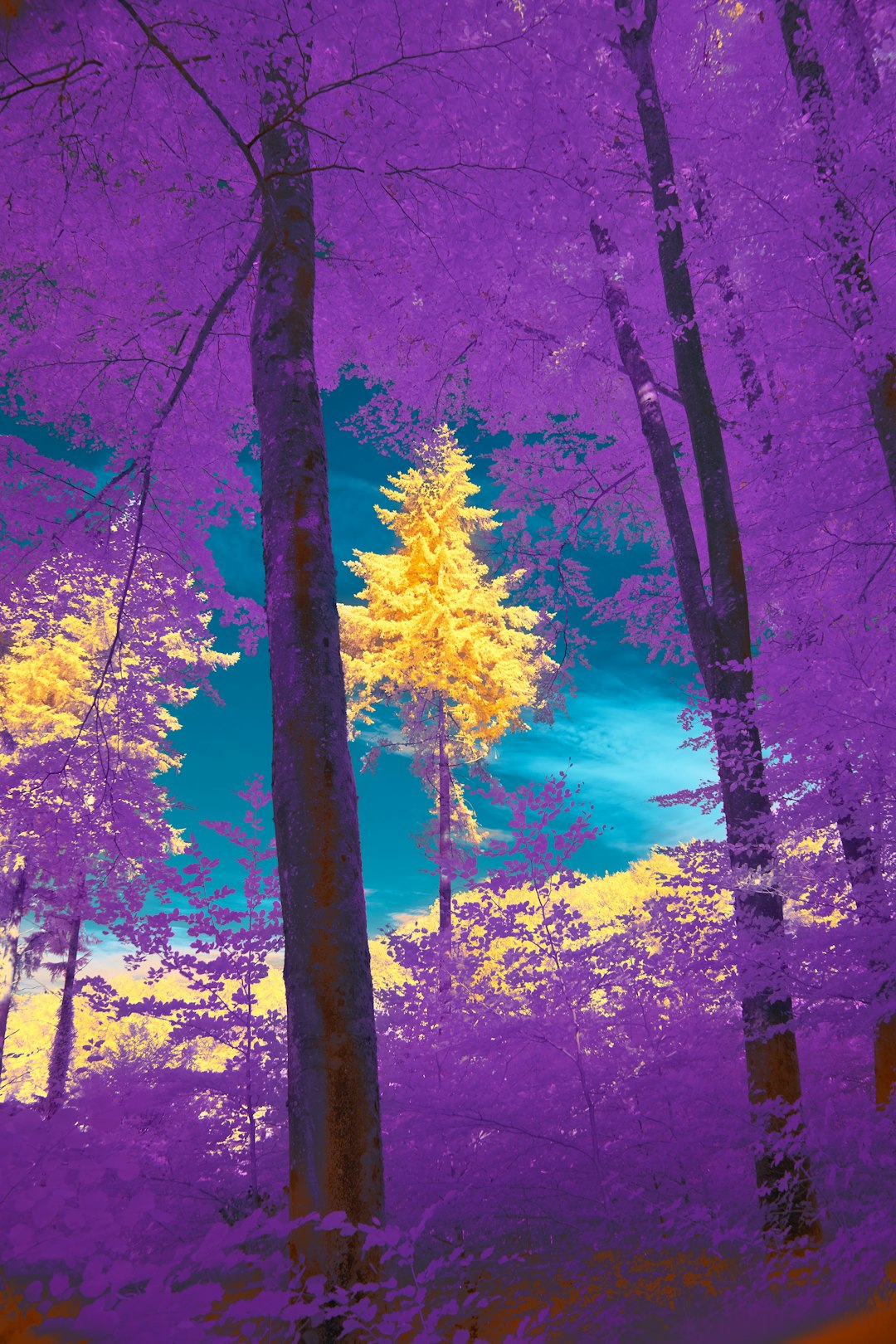 30-Day AI Art Tool Review: Complete Beginner-to-Advanced Experience, Full Pros & Cons Analysis