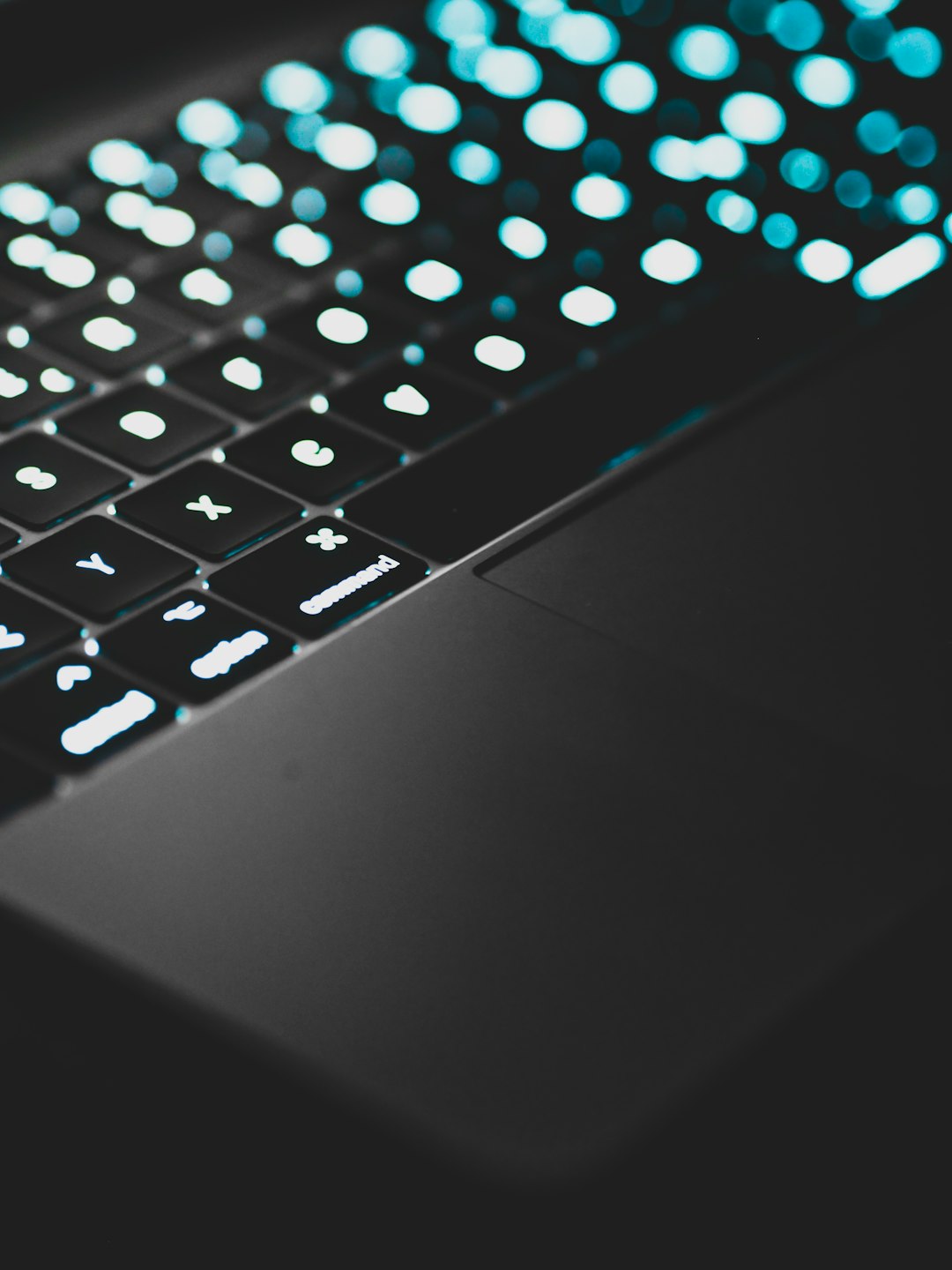 Top 5 AI Tools Compared: The Ultimate Value-for-Money Showdown