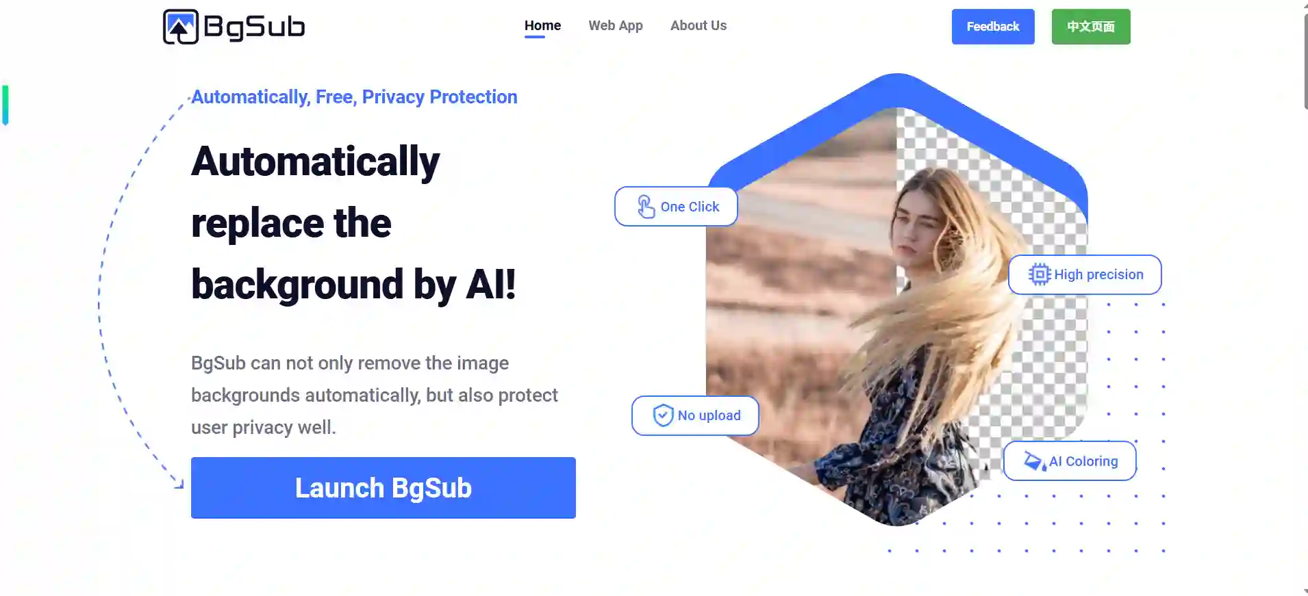 BgSub Online AI Background Remover and Replacer with Privacy Protection and No Upload